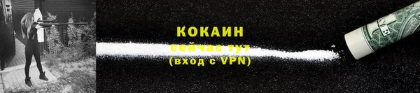 ГАЛЛЮЦИНОГЕННЫЕ ГРИБЫ Арсеньев