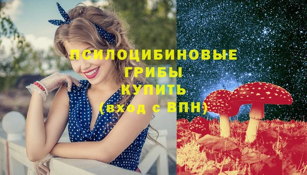 хмурый Армянск