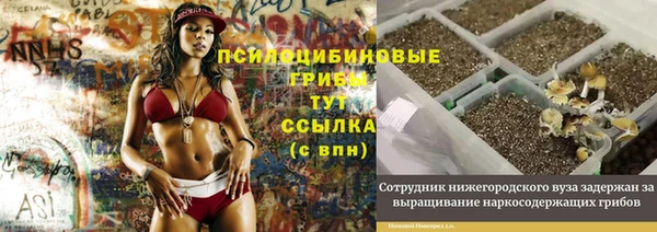 ГАЛЛЮЦИНОГЕННЫЕ ГРИБЫ Арсеньев