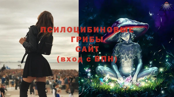 ГАЛЛЮЦИНОГЕННЫЕ ГРИБЫ Арсеньев