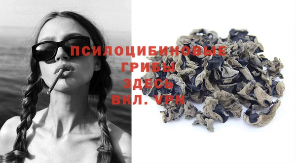 ГАЛЛЮЦИНОГЕННЫЕ ГРИБЫ Арсеньев