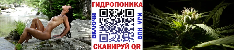 МАРИХУАНА Amnesia Верхний Тагил